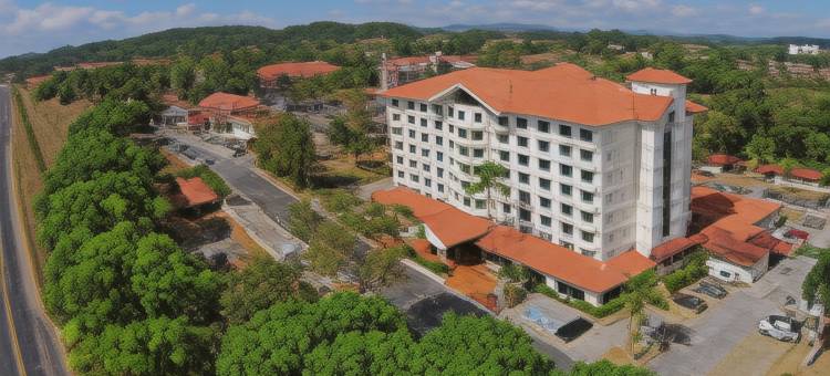 Holiday Inn 市知识(Holiday Inn Panama Canal)图片