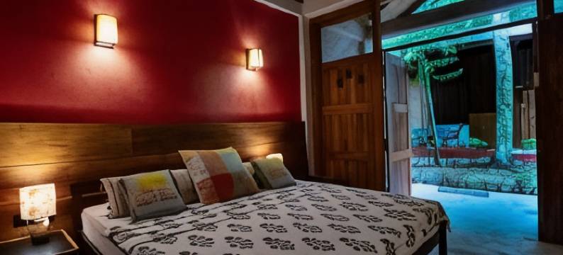 舞动的海牛(Dancing Dugong)图片