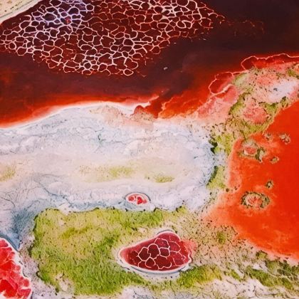 宁夏银川+中卫沙坡头4日3晚私家团