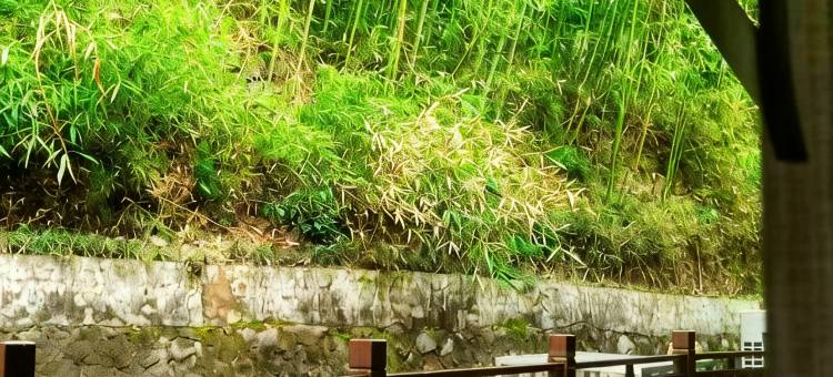 听溪·云宿图片