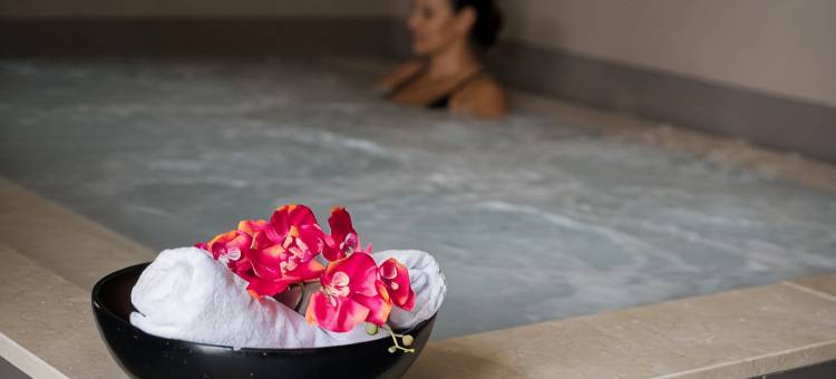 Vila Gale Collection Alter Real - 马术度假村, 会议和水疗中心(Vila Gale Collection Alter Real - Resort Equestre, Conference & Spa)图片