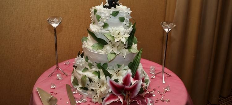 智选假日套房酒店萨克拉门托东北加州博览会(Holiday Inn Express & Suites SACRAMENTO NE CAL EXPO by IHG)图片