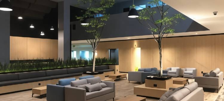 Holiday Inn 莫雷利亚(Holiday Inn MORELIA by IHG)图片