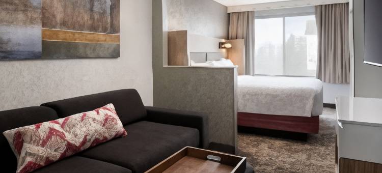 索内斯塔精选西雅图伦顿套房酒店(Sonesta Select Seattle Renton Suites)图片