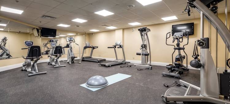 蒙地卡罗及套房市中心万锦酒店(Monte Carlo Inn & Suites Downtown Markham)图片