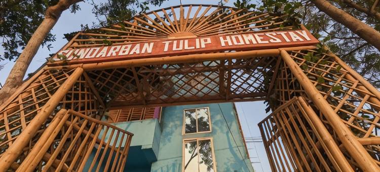 孙德尔本郁金香民宿(Sundarban Tulip Homestay, Pakhiralay, WB)图片