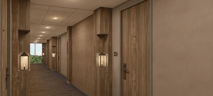 纳托马斯萨克拉门托机场温德姆花园酒店(Wyndham Garden Sacramento Airport Natomas)图片