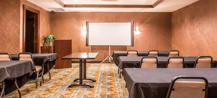 舒适套房酒店(Comfort Inn & Suites)图片