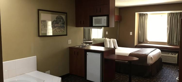 Microtel Inn & Suites by Wyndham Lithonia/Stone Mountain图片