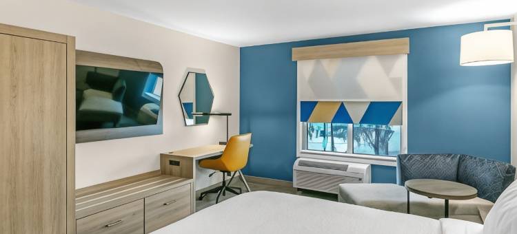 智选假日套房酒店-诺科米斯萨拉索塔南部(Holiday Inn Express & Suites Nokomis - Sarasota South)图片