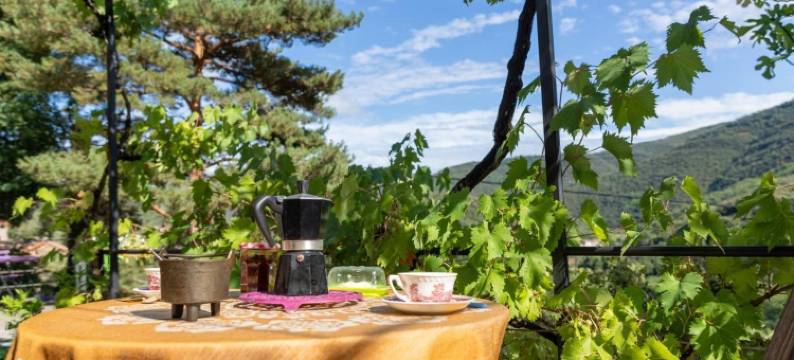 Le Petit Paradis图片