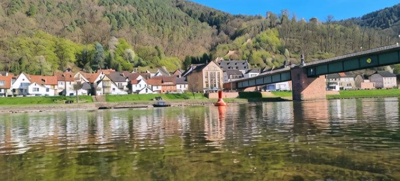 金色法斯酒店(Hotel Goldenes Fass)图片