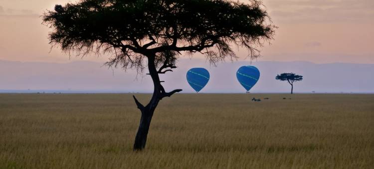 玛拉探索者酒店(Mara Explorer)图片