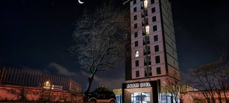 亚兰酒店(Aram Otel Business & Luxury)图片