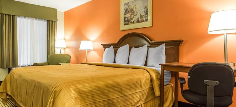 大学凯艺酒店(Quality Inn University)图片