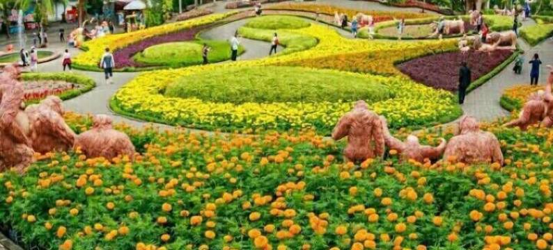 海丘精品旅馆(Sea Hill Boutique Residence)图片