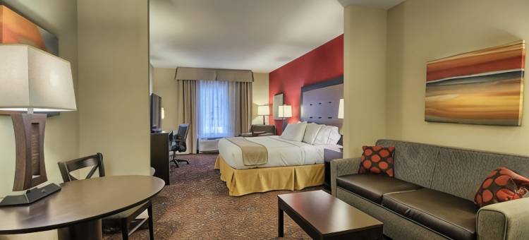 Holiday Inn Express & Suites NEW MARTINSVILLE by IHG图片