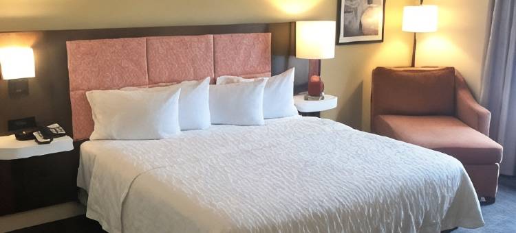 希尔顿欢朋套房酒店-诺福克机场(Hampton Inn & Suites Norfolk-Airport)图片