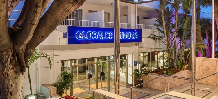 Globales Mimosa图片
