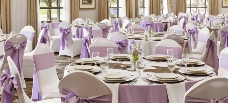 底特律诺维希尔顿逸林酒店(DoubleTree by Hilton Detroit Novi)图片