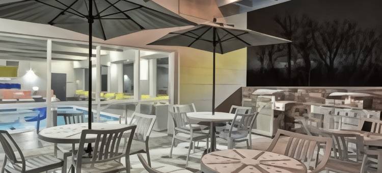 杰克逊希尔顿惠庭套房酒店(Home2 Suites by Hilton Jackson, MI)图片