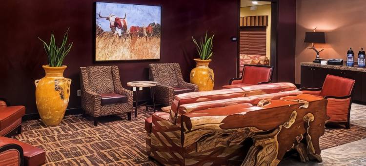 舒适套房酒店(Comfort Inn & Suites)图片