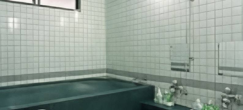 金住酒店(Hotel Kanezumi)图片