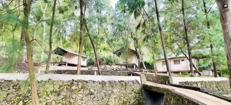 Banyu Pinus Camper Park图片