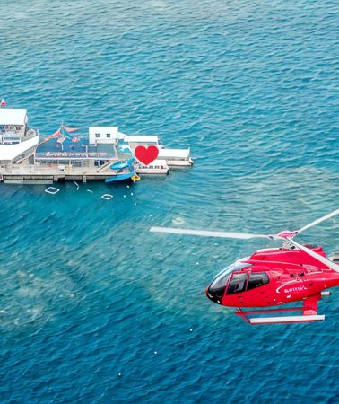4D3N • Cairns + Great Barrier Reef + Rainforestation Nature Park + Atherton Plateau