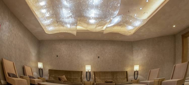 安曼希尔顿尚御酒店(Signia by Hilton Amman)图片