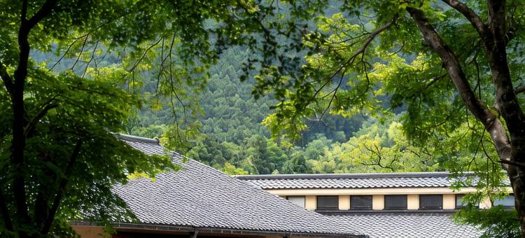 东京 青梅石神温泉 日式旅馆(OKUTAMAJI TOKYO)图片