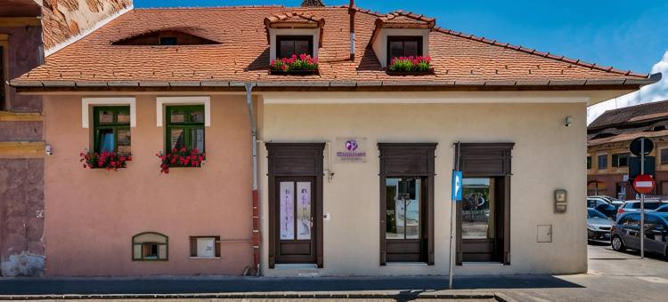 布鲁曼豪斯锡比乌酒店(Blumenhaus Sibiu)图片