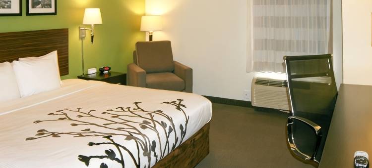 史东尼溪-圣彼得堡南舒眠套房酒店(Sleep Inn & Suites Stony Creek - Petersburg South)图片