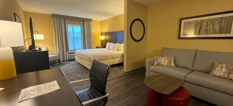 舒适套房酒店(Comfort Inn & Suites)图片