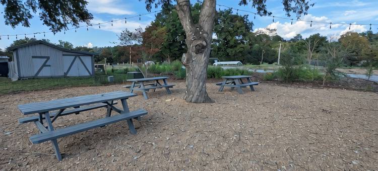 Watauga Flats Farm – A Working Farm Stay with Rustic Charm & Modern Comfort!图片