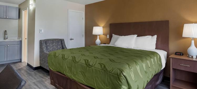 圣彼得斯堡骑士酒店(Quality Inn Saint Petersburg North-Tampa Bay)图片