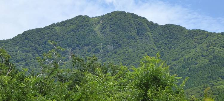 箱根阳光露台度假屋(Vacation House Sunterrace Hakone)图片