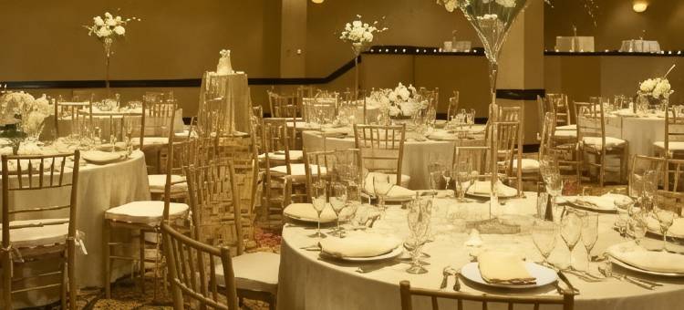 底特律特洛伊万豪酒店(Detroit Marriott Troy)图片
