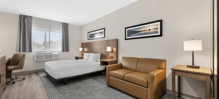 米德兰品质酒店(Quality Inn)图片