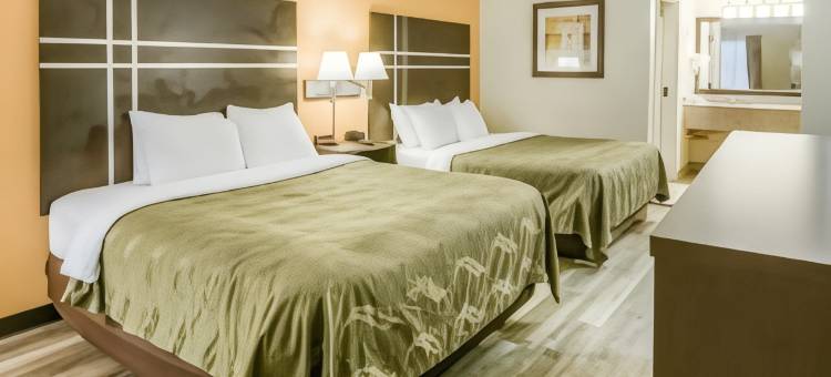 亚特兰大石山品质酒店及套房(Quality Inn Stone Mountain)图片