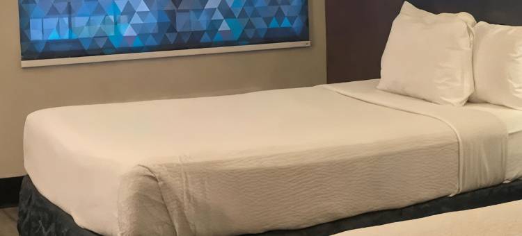 贝克斯菲尔德南拉昆塔温德姆酒店(La Quinta Inn by Wyndham Bakersfield South)图片