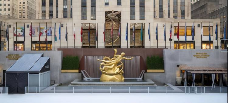 纽约曼哈顿时代广场南万豪春季山丘套房酒店(SpringHill Suites New York Manhattan Times Square)图片