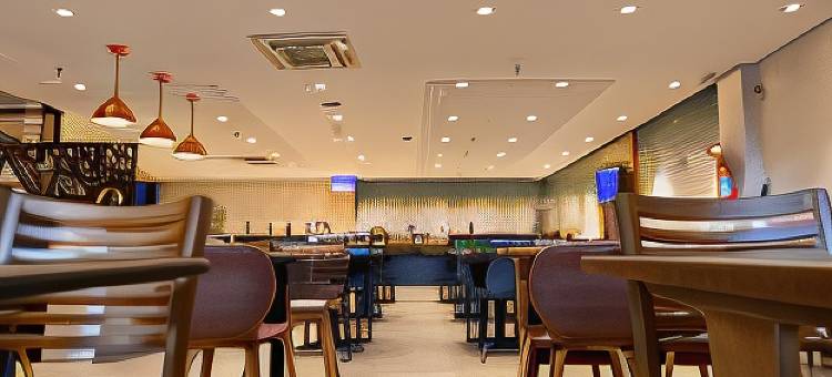 宜必思卡尔达斯酒店(Ibis Pocos de Caldas)图片