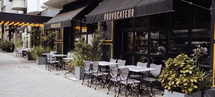柏林Provocateur设计酒店(Provocateur Berlin, a Member of Design Hotels)图片