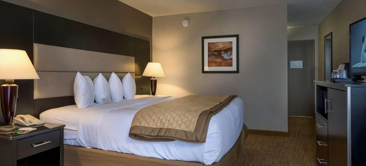 博伊西温德姆华美达酒店(Ramada by Wyndham Boise)图片