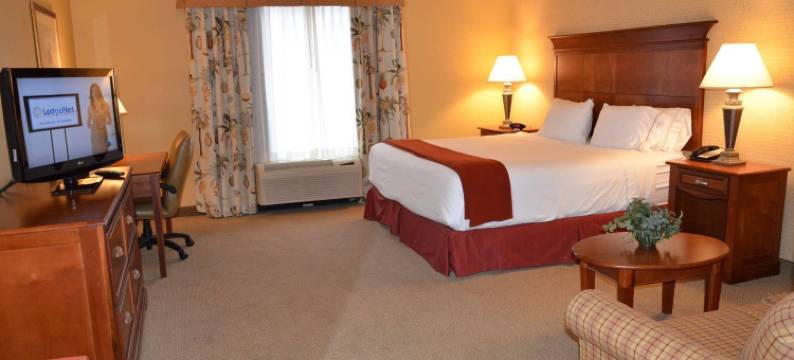 智选假日套房酒店布隆明(Holiday Inn Express & Suites BLOOMINGTON by IHG)图片