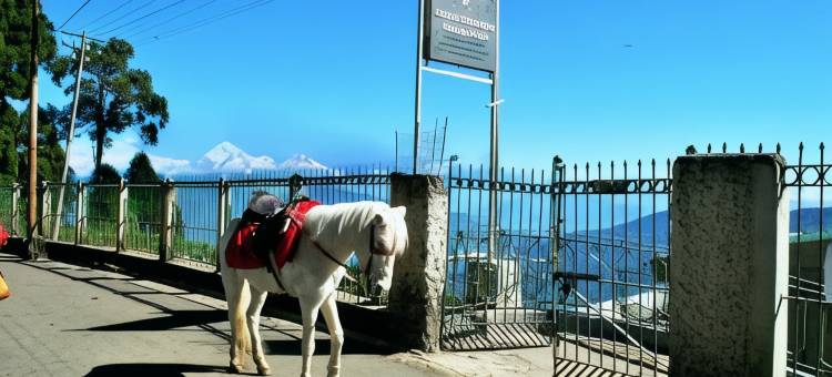 Central Gleneagles Heritage Resort -The Mall Road Darjeeling图片