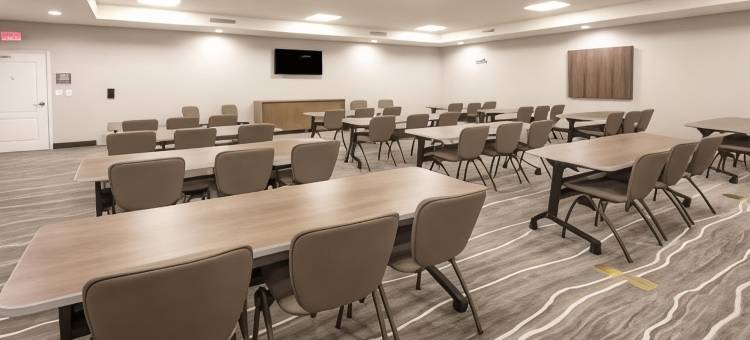 Staybridge Suites 迪尔伯恩 MI by IHG(Staybridge Suites Dearborn MI)图片