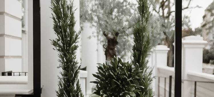 拉斯雷特旅馆(The Laslett)图片