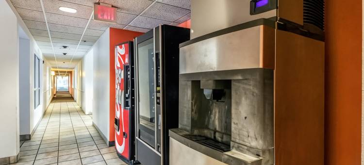 纽布朗费尔斯6号汽车旅馆(Motel 6 New Braunfels, TX)图片
